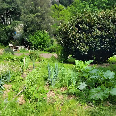 Maison En Cevennes * L'Estrechure