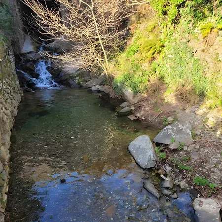 Maison En Cevennes *