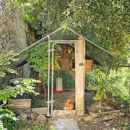 Maison En Cevennes 度假居 L'Estrechure